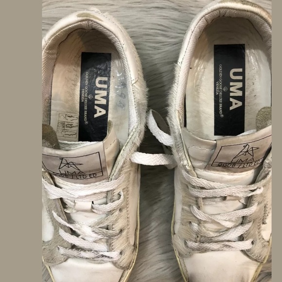 Golden goose - Picture 3 of 8